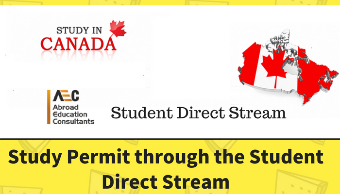 Promotional banner for "study in canada" featuring a graphic of the canadian map adorned with maple leaves, highlighting the student direct stream program.