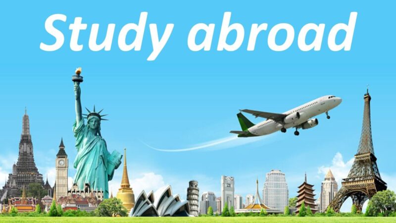 Role of a Study Visa Consultant Towards Students