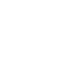 Data Analyst