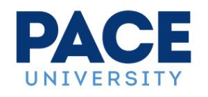 Logo of Pace University New York, featuring the word "PACE" in uppercase blue letters above the word "UNIVERSITY" in smaller uppercase blue letters.