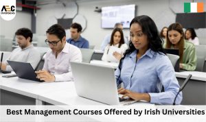 Best Management Courses Offered by Irish Universities