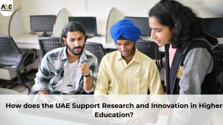 How does the UAE support research and innovation in higher education